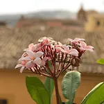 Terrazze Di Montelusa Bed & Breakfast