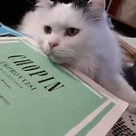 Terrazze Di Montelusa 4*