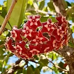 Terrazze Di Montelusa Bed & Breakfast Agrigento