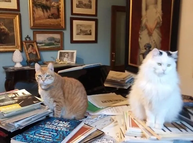 Terrazze Di Montelusa Агридженто