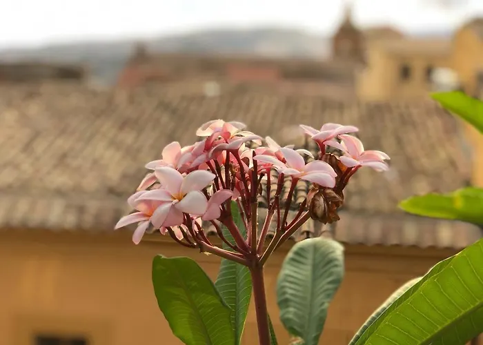 Terrazze Di Montelusa Отель типа 