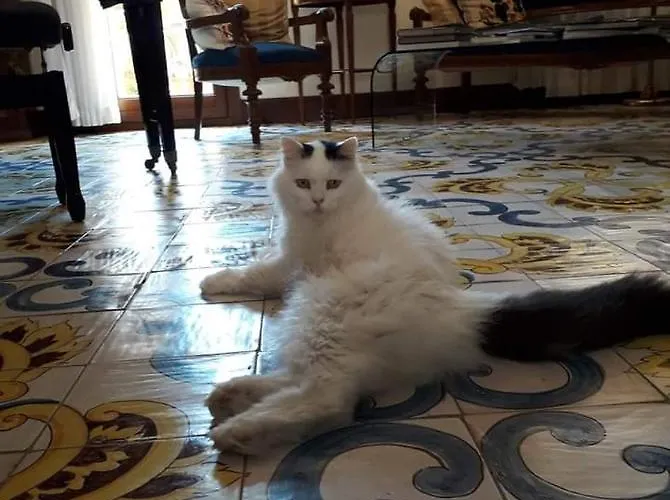 Terrazze Di Montelusa Отель типа 