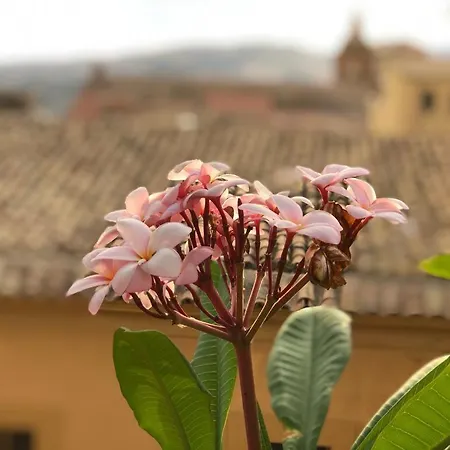 Terrazze Di Montelusa Bed & Breakfast