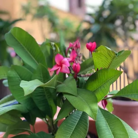 Terrazze Di Montelusa Agrigento