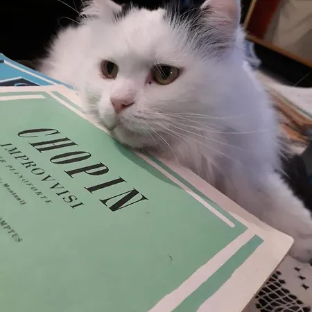 Terrazze Di Montelusa 4*