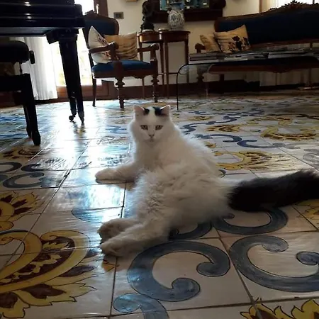 Terrazze Di Montelusa Couette-café 4*