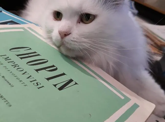 Terrazze Di Montelusa 4*