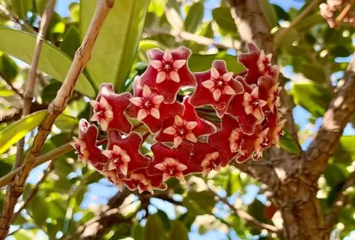 Terrazze Di Montelusa Couette-café Agrigente