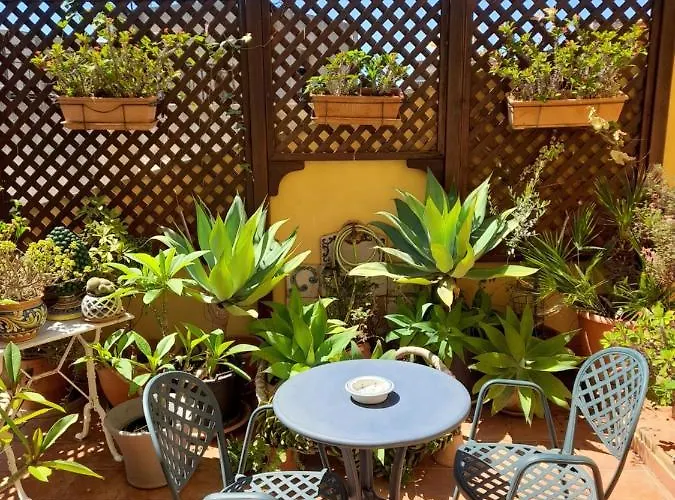 Couette-café Terrazze Di Montelusa Agrigente